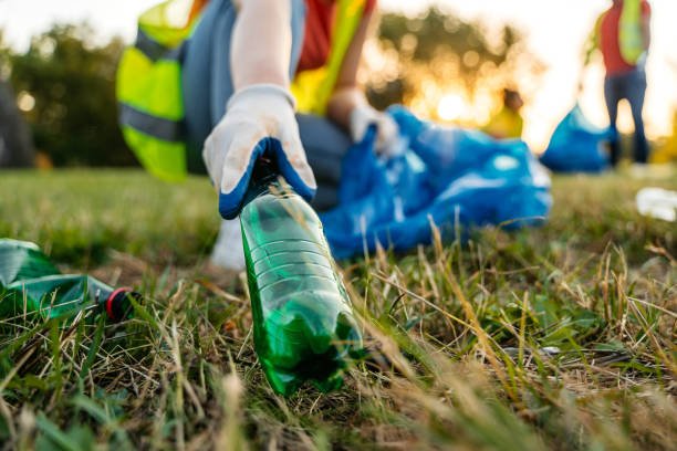 Yard Cleanup Services in Oakboro, NC